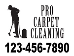 Carpet Cleaning 1 Color